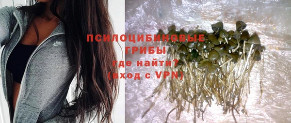 прущие крисы Абинск
