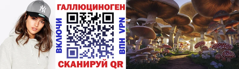 гидра ссылка  где можно купить наркотик  Рязань  Псилоцибиновые грибы мухоморы 
